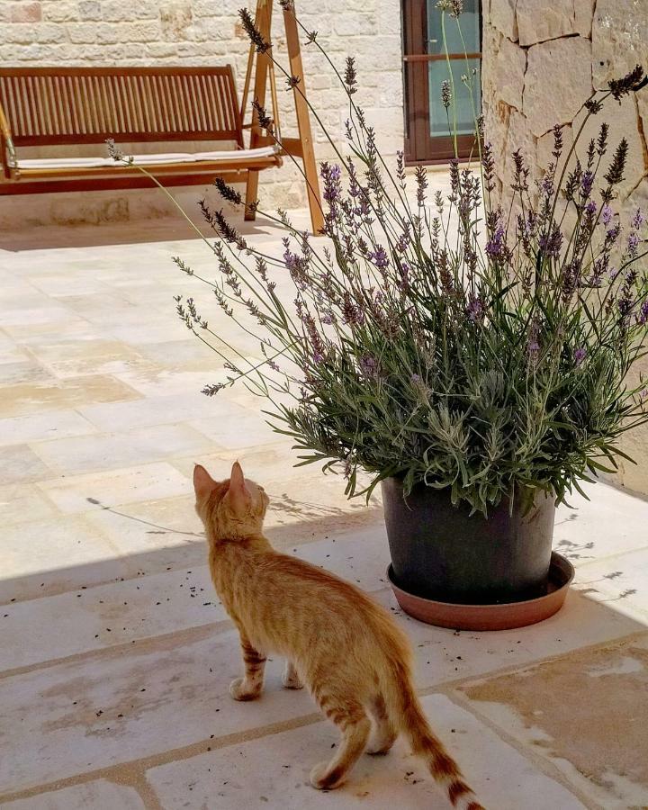 Le Chiancarelle, Casa Vacanza Alberobello Exterior foto